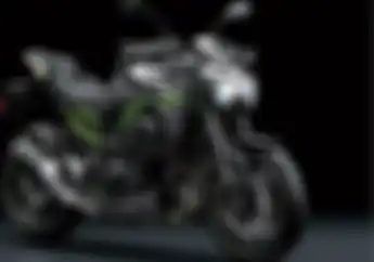 Masih Didominasi Aksen Hijau, Ini 4 Pilihan Warna Baru Kawasaki Z900 2020 di EICMA 2019