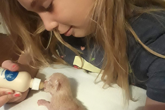 Seorang gadis 10 tahun meninggal kesetrum listrik karena berusaha menyelamatkan anak kucing