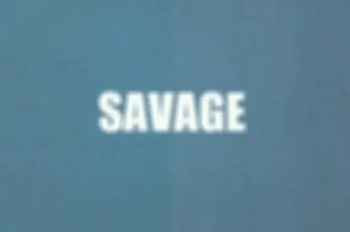 arti kata Savage