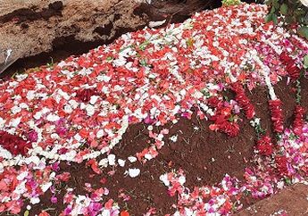 Penyanyi Bersuara Khas Ini Meninggal Karena Kanker Paru-Paru, Diduga Makanan Jenis Ini Jadi Pemicu Utamanya