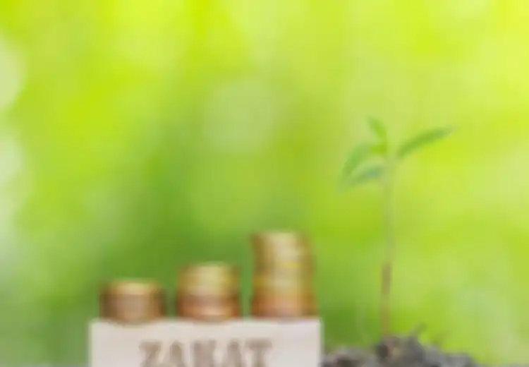 Catat dan Ingat Waktu Pelaksanaan Zakat Fitrah Adalah pada Bulan Ini