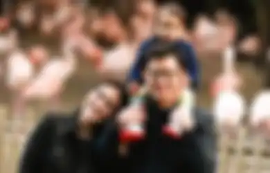 Pernikahan yang Dibina Selama 10 Tahun Hampir Tak Terselamatkan, Shandy Aulia Kini Makin Rajin Pamer Kemesraan dengan David Herbowo, Ungkapan Bijak Ini Jadi Sorotan