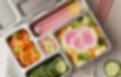Rekomendasi Lunch Box PlanetBox yang Viral Hingga Disebut Mahal Banget