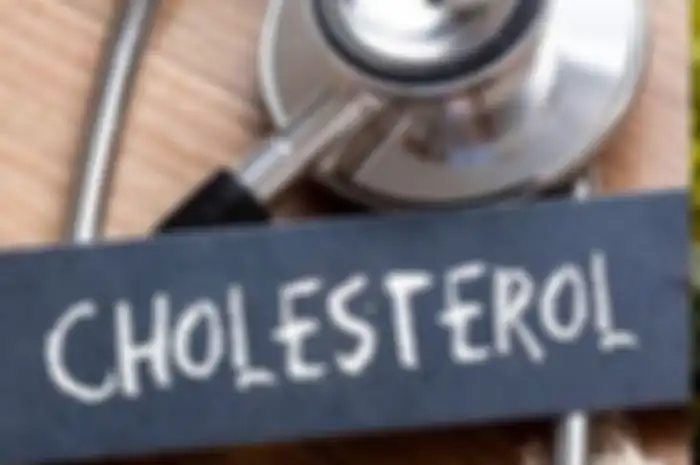 ilustrasi kolesterol
