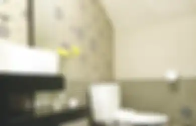 Meski Lebih Nyaman, Toilet Duduk Tingkatkan Risiko Wasir, Benarkah?