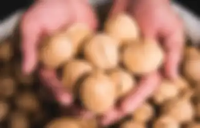 Punya Segudang Manfaat, Rutin Konsumsi Kenari Bisa Turunkan Tekanan Darah Tinggi