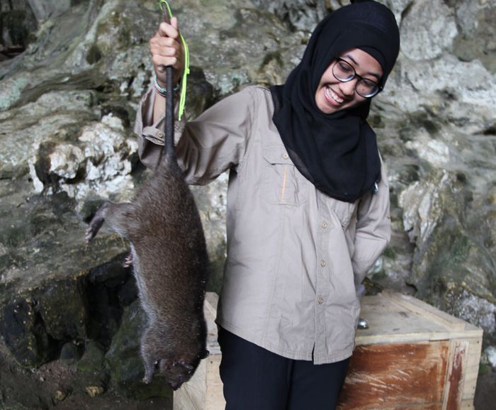 Tim peneliti memegang seekor Tikus Betu yang masih ditemukan sampai sekarang di Situs Liang Bua.