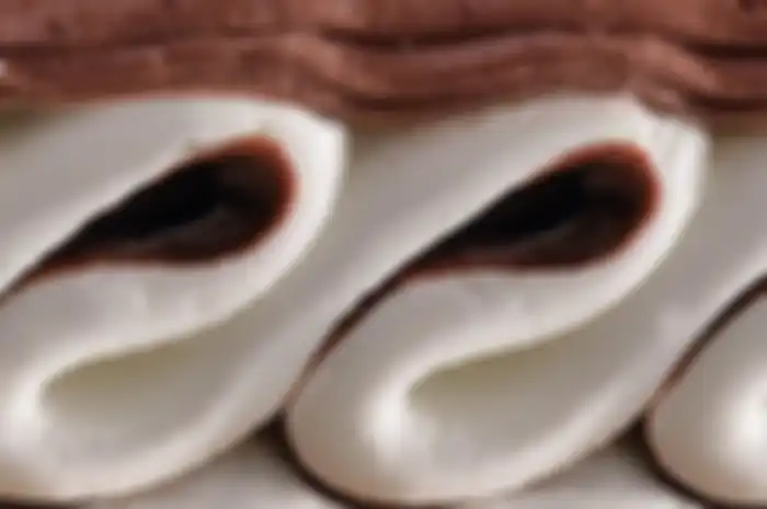 Es Krim Viennetta