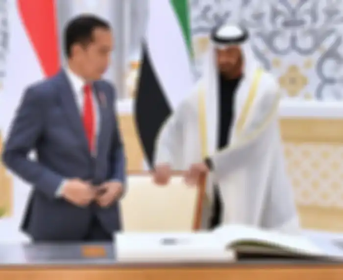 Pertemuan Jokowi dan Putra Mahkota UEA Mohammed bin Zayed di Abu Dhabi 