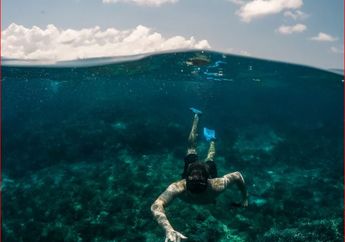 6 Arti Mimpi Berenang di Laut, Jadi Tanda Keberuntungan Hingga Peringatan Adanya Masalah Hidup
