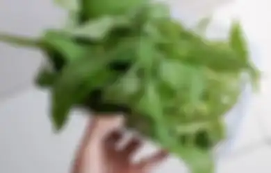 Bukannya Sehat, Makan Kangkung Justru Bisa Timbulkan Efek Berbahaya pada Orang dengan Kondisi Ini
