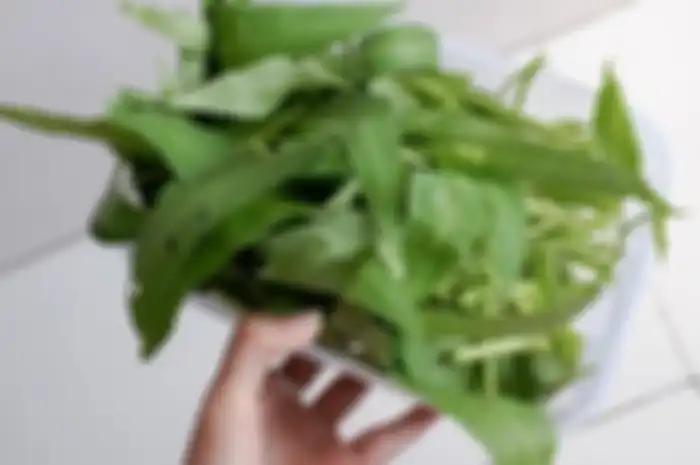 Kangkung (ilustrasi)