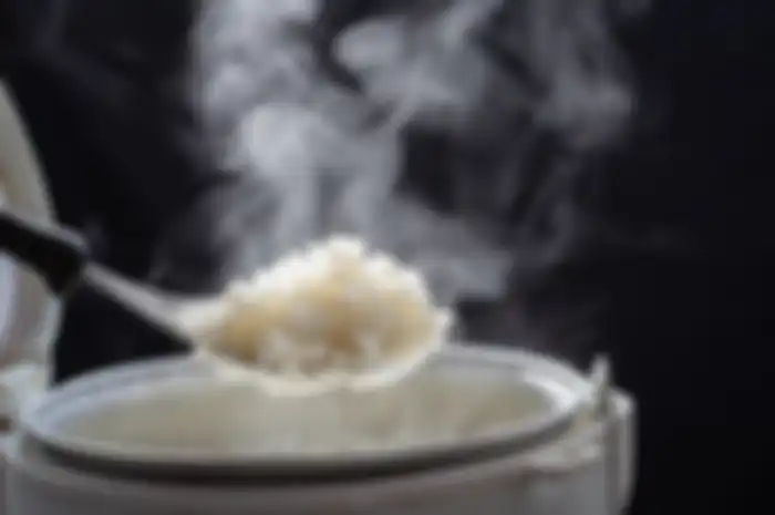 Ilustrasi masak nasi di rice cooker