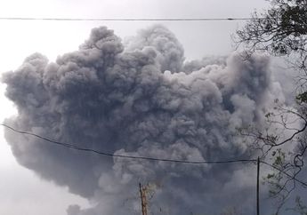 Gunung Semeru Kembali Erupsi, Jalur Evakuasi Warga Menjadi Prioritas yang Harus Dibangun oleh Pemerintah Setempat