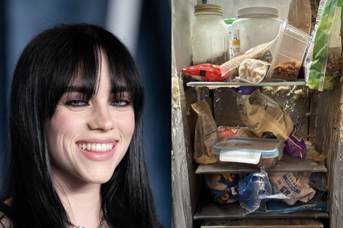 Billie Eilish pasrah single gegara kulkasnya kotor