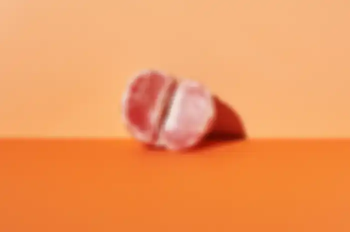 Ilustrasi vagina.
