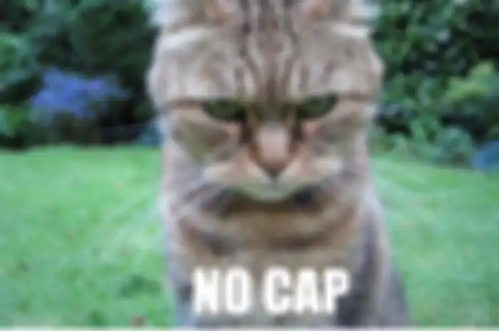 Bahasa Gaul No Cap