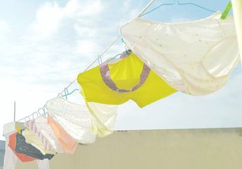 Celana Dalam ini Laku Rp 115 Juta Rupiah Padahal Cuma Daleman Bekas dan Kumal, Terungkap Pemiliknya Bukan Orang Sembarangan!