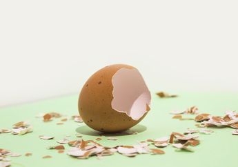 Dibuang dan Dianggap Tak Berguna, Penelitian Menunjukkan Cangkang Telur Punya Khasiat Bagi Kesehatan Tubuh