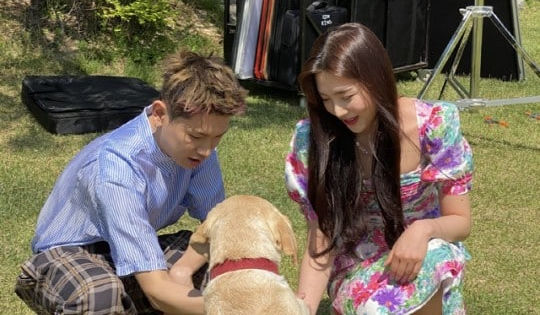 Joy dan Crush