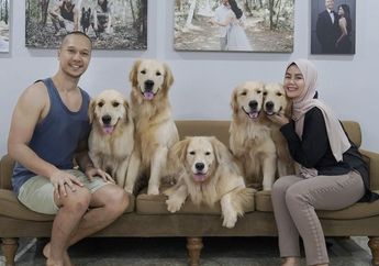 Punya 12 Anjing dan 30 Kucing di Rumah, Bima Aryo Ungkap Tips Agar Hewan Peliharaan Tidak Saling Bertengkar