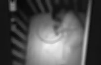Bikin Shock! Sosok Bayi Misterius Tertangkap CCTV di Samping Anaknya, Ibu ini Ketakutan Setengah Mati, Esoknya di Cek Malah Bikin Ngakak!
