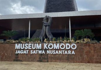 Sunset di Kebun Digelar di TMII, Jagat Satwa Nusantara Siap Edukasi Generasi Muda