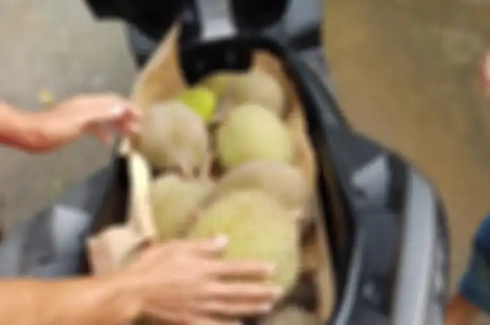 Ayo dihitung ada berapa buah durian di dalam bagasi XMAX 250