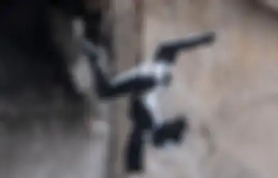 Seniman Jalanan Ternama 'Banksy', Bikin Mural di Puing Bangunan Ukraina