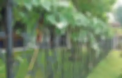 Gampang Oksidasi Sehingga Mudah Berkarat, Simak 3 Langkah Cegah Pagar Besi Berkarat