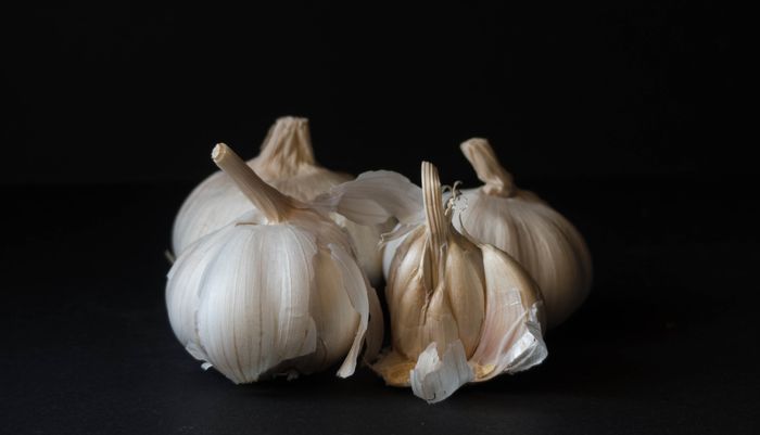 ilustrasi bawang putih