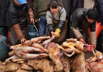 Tak Kapok Negaranya Disorot Karena Gemar Makan Satwa Liar, China Malah Mau Bikin Festival Makan Daging Anjing yang Direbus Hidup-Hidup