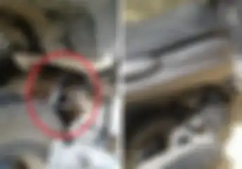 Terkuak! Penyebab Blok Mesin Motor Pecah, Begini Penjelasannya