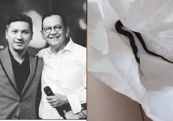 Muncul Ular Berkepala Dua dan Biawak Usai Banjir, Roy Marten Berkelakar: Di Sate Kan Enak!