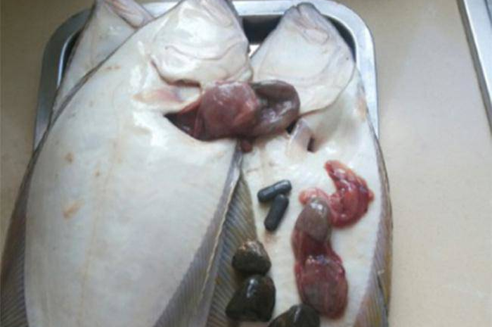 Pria ini mendadak kaya raya setelah temukan hal ini dalam perut ikan