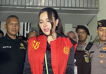 Nikita Mirzani Divonis 4 Tahun Penjara, Begini Reaksi dari Hotman Paris