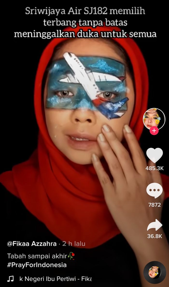 Kreator TikTok buat lukisan jatuhnya pesawat Sriwijaya