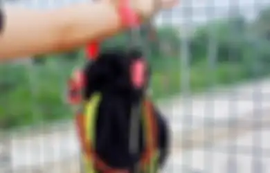 Makin Modis! Ini 4 Rekomendasi Tas Kecil Gemes yang Cocok Buat Lebaran