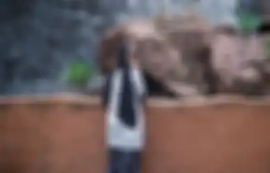 Kaget Bukan Kepalang Tahu Anak Gadisnya Pulang dengan Pipi Penuh Luka dan Darah, Zaskia Adya Mecca Curhat Panjang Lebar Ungkap Kondisi Sang Buah Hati