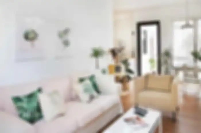 Mau Bersihkan Sofa dari Noda Es Krim dan Buat Tanaman Hias Mengilap? Ini Trik Rahasianya!