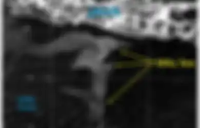 Kamera Satelit AS Tangkap Fenomena Laut Selatan Jawa Bercahaya pada Malam Hari, Ternyata ini yang Terjadi