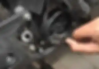 Biaya Ganti Oli Bentley Mulsane Milik Hotman Paris Bisa Untuk Servis Motor Sekampung