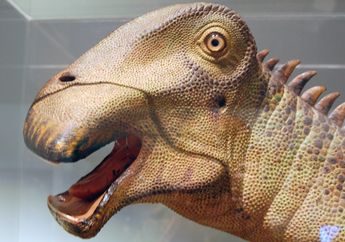 Nigersaurus, Dinosaurus yang Punya 500 Gigi yang Berganti Dwimingguan