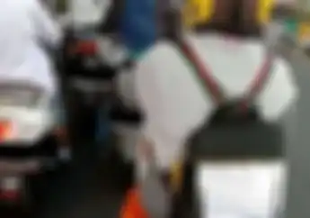 Pengendara Honda Scoopy Jadi Pusat Perhatian, Tulisan di Tasnya Menohok dan Bikin Pelaku Sadar