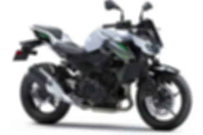 Kawasaki Z250 2019