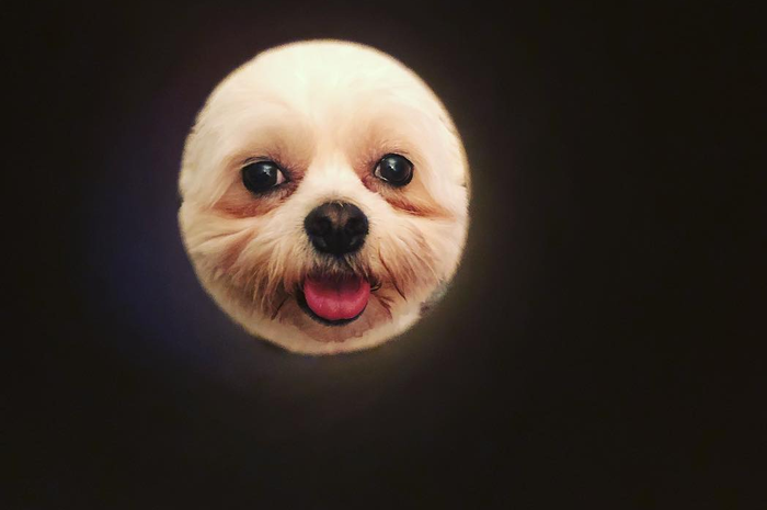 Moon Selfie