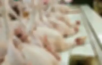 Update Harga Sembako: Harga Ayam Hidup Semakin Anjlok, Ini Usul Peternak ke Pemerintah