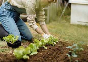 9 Arti Mimpi Berkebun, Tanda Peluang Sukses Tersebar, Buka Mata Lebar-lebar