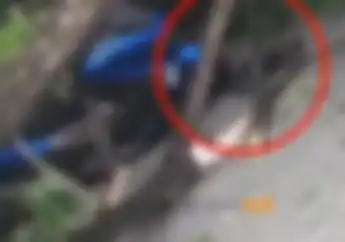 Dramatis, Yamaha NMAX Ringsek Tertimpa Pohon Tumbang di Medan, Pemotor Selamat Lompat dari Motor