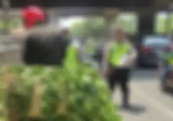 Gak Berkutik Dihadang Polisi, Pemotor Nyaris Terjatuh Duduk di Atas Tumpukan Daun   